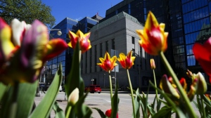 The Bank of Canada is seen through a bed of tulips in Ottawa on Monday, May 6, 2024. THE CANADIAN PRESS/Sean Kilpatrick