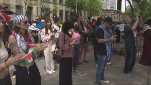 4 arrested at downtown Toronto protest