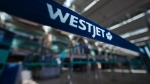 A WestJet logo is seen in the domestic check-in area at Vancouver International Airport, in Richmond, B.C., Friday, May 19, 2023. THE CANADIAN PRESS/Darryl Dyck