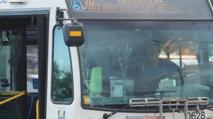 June 23 Brampton transit bus driver hits man