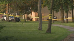 Police are on the scene after shots were fired in North York overnight. 