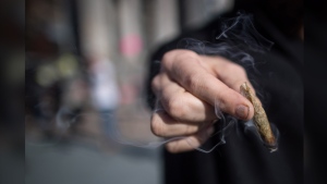 Cannabis has edged out alcohol as the most commonly detected single substance with Atlantic provinces leading the country in number of injured drivers who are more likely to have used weed, says a new study. A man holds a joint while smoking marijuana, in Vancouver on Wednesday Oct. 17, 2018. THE CANADIAN PRESS/Darryl Dyck