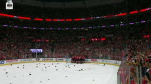 Panthers win 2024 Stanley Cup tournament.