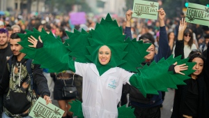 A demonstrator dressed like a marijuana plant attends a legalization of marijuana march in Sao Paulo, Brazil, Saturday, June 11, 2022. (Andre Penner / AP Photo)