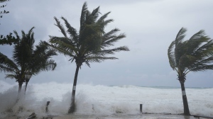 Waves batter palm trees as Hurricane Beryl passes through Hastings, Barbados, Monday, July 1, 2024. (Ricardo Mazalan/AP Photo)