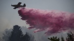 A plane uses a fire retardant to extinguish a fire burning in an area near the border with Lebanon, in Safed, northern Israel, Wednesday, June 12, 2024. (AP Photo/Leo Correa, File)