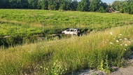 Police say a 14-year-old took their parents' car and left it in flames in a ditch after rear-ending another vehicle on the 401 in Mississauga. (X/@OPP_HSD)