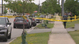 North York shooting