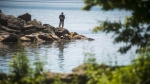 FILE - A fisherman casts on the shoreline of Lake Ontario in Scarborough, Ont., on Tuesday, June 12, 2018. THE CANADIAN PRESS/ Tijana Martin