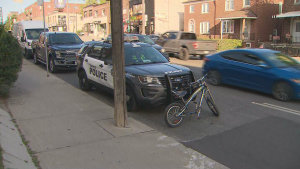 Police are on the scene of a hit and run in Little Jamaica that left a cyclist seriously injured on Friday, July 19, 2024. (CP24)