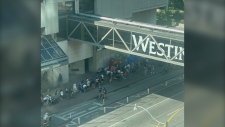 Ferry lineup