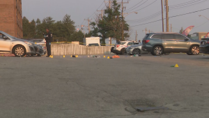 Two people are dead and two others were rushed to hospital for treatment after a shooting in Scarborough. 