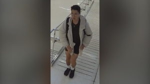Police say the man in the photo stole a watch from a downtown Toronto jewelry store on Wednesday, July 24, 2024. (Toronto Police Service)