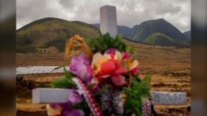 A cross adorned with leis is seen at a memorial for wildfire victims, Saturday, July 6, 2024, in Lahaina, Hawaii. Cleanup and rebuilding efforts continue after the 2023 wildfire that killed over 102 people and destroyed the historic town of Lahaina on the island of Maui. (AP Photo/Lindsey Wasson)