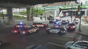 Toronto police cruisers are seen at Lower Jarvis Street and Lake Shore Boulevard on Tuesday, Aug.6, 2024. 