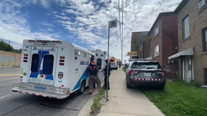 A homicide investigation is underway after biological remains were found inside an apartment near Weston Road and Black Creek Drive on July 27.