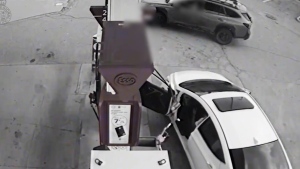 Driver carjacked while pumping gas in Ont.