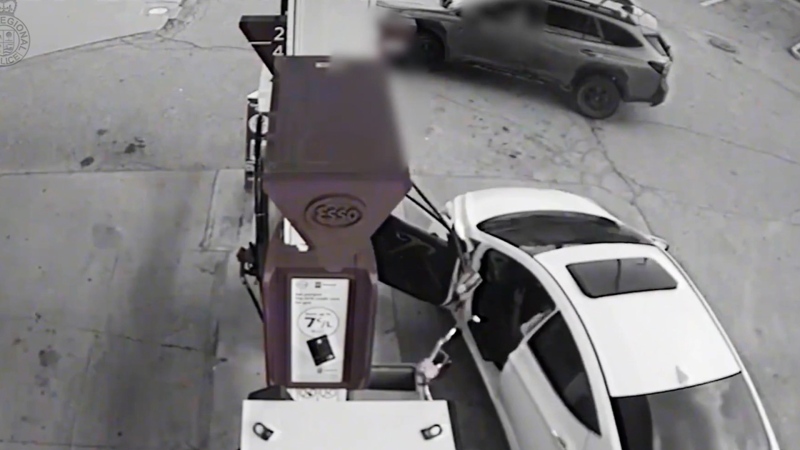 Driver carjacked while pumping gas in Ont.
