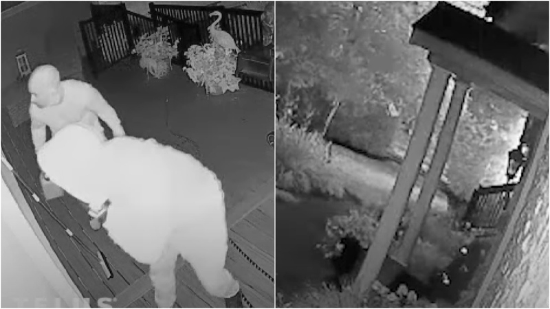 Police have release surveillance video of two suspects wanted in connection with an arson investigation. (York Regional Police)