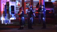 Police and paramedics are pictured at the scene of a stabbing in Etobicoke Sunday, August 11, 2024.