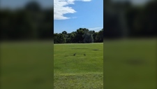 swastika, soccer, field, Whitby