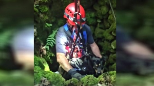 Dog rescued after falling into 25-foot well in Ont