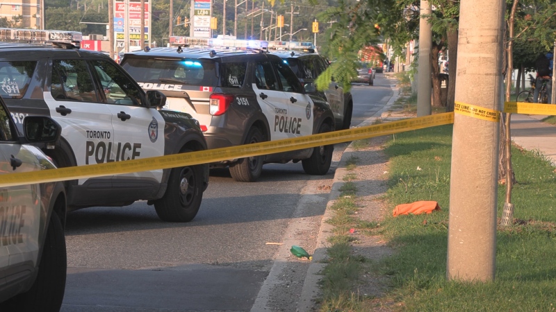 Police are on the scene of a stabbing near Jane and Wilson on Thursday, Aug. 15, 2024. (CP24)