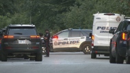 Police are on the scene of a shooting in Innisfil on Thursday, Aug. 15, 2024. (CTV News)