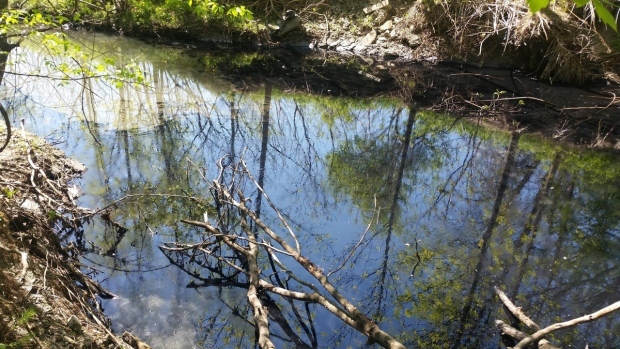 密西沙加公司因Etobicoke Creek柴油泄漏被罚刀100,000元