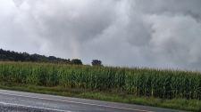 Possible tornado in Ayr, Ont.