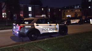 Rexdale stabbing