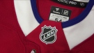 NHL jersey 