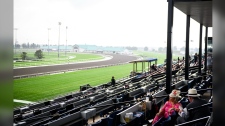 heavy downpour Woodbine Racetrack