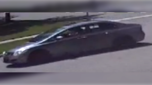 Suspect vehicle