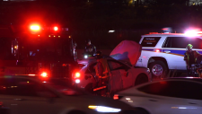 Highway 401 collision