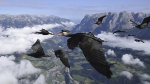 This photo provide by Waldrappteam Conservation & Research shows the migration from Northern Bald Ibis, or the Waldrapp from Seekirchen am Wallersee in Austria to Oasi Laguna di Orbetello in Italy during August and September 2022. (Waldrappteam Conservation & Research via AP)