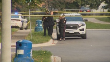 Brampton homicide