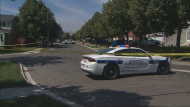 Police are on the scene of a homicide in Brampton on Friday, Aug. 30, 2024. (CP24)