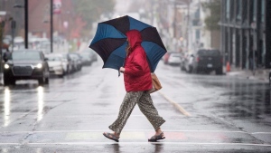 Toronto under rainfall warning effect