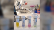 Samples of unregulated substances being tested by Toronto's Drug Checking Service. (TDCS/St. Michael's Hospital photo)