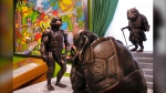 Bronze statues of the Teenage Mutant Ninja Turtles characters are displayed as part of the permanent collection at the Woodman Museum, Thursday, Sept. 5, 2024, in Dover, N.H. (AP Photo/Charles Krupa)