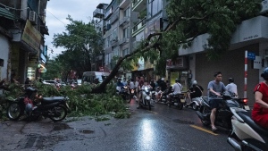 Traffic moves slowly past fallen trees on the roads of Hanoi, Vietnam, Sunday Sept. 8, 2024. (AP Photo/Aniruddha Ghosal)
