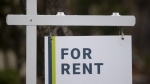 A new report says August rental rates fell in many of Canada's largest and priciest markets to continue a months-long trend while rates rose in smaller cities. A rental sign is seen outside a building in Ottawa, Thursday, April 30, 2020. THE CANADIAN PRESS/Adrian Wyld