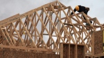 FILE - A construction worker works on a house in a new housing development in Oakville, Ont., north of Dundas Street, Friday, April 29. 2011. THE CANADIAN PRESS/Richard Buchan