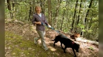 Susannah Johnston, of Croton-on-Hudson, N.Y., walks her dog Ellie on Sept. 8, 2024 in Norfolk, Conn. Johnston, a fit yoga instructor and strength trainer, has been injured three times in incidents involving walking her dog. (Vincent Cohan via AP)