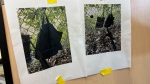 Photos that show an AK-47 rifle, a backpack and a Go-Pro camera on a fence outside Trump International Golf Club taken after an apparent assassination attempt of Donald Trump, are displayed during a news conference at the Palm Beach County Main Library, Sunday. Sept. 15, 2024, in West Palm Beach, Fla. (AP / Stephany Matat)