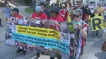 Demonstrators rallied for migrants right in downtown Toronot on Sept. 15. 