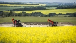 Pumpjacks draw out oil and gas from wellheads surrounded by Canola fields near Cremona, Alta., Monday, July 15, 2024. THE CANADIAN PRESS/Jeff McIntosh