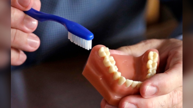 model of teeth and a toothbrush