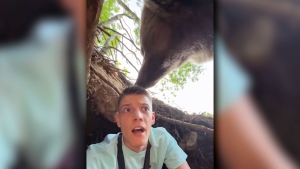 This still from a video shows a Serbian influencer's close encounter with a bear in Gornja Paklencia, Bosnia and Herzegovia (@stefan_jankovich via Storyful)